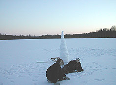 snow stupas